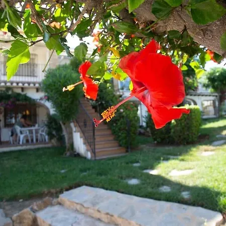 Casa En Con Piscina Y Jardin Apartment *