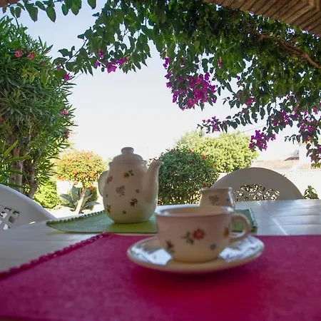 Casa En Con Piscina Y Jardin *